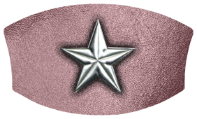 DNSWILL 430 SL OR Star Silver Orchid